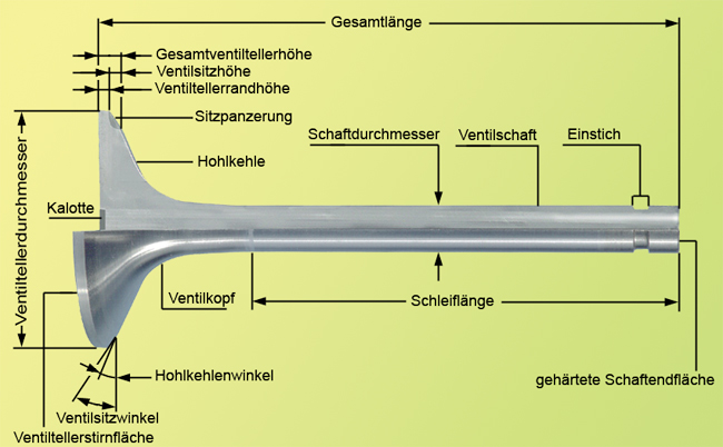 Das Bild ist animiert!